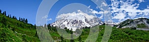 Mt. Rainier above an alpine meadow with summer wildflowers blooming, Paradise area at Mt. Rainier national park