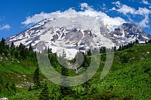 Mt. Rainier above an alpine meadow with summer wildflowers blooming, Paradise area at Mt. Rainier national park