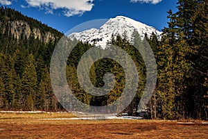 Mt. Rainier Meadow Views, Mt. Rainer National Park