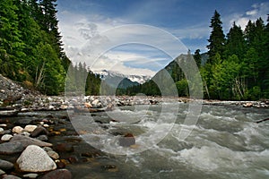 Mt. Rainier National Park