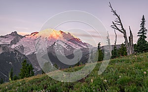 Mt Rainier National Park At Sunrise