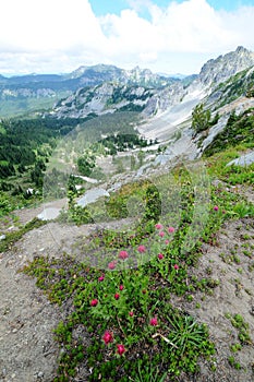 Mt. Rainier National Park, Washington