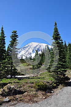 Mt. Rainier scenic landscape