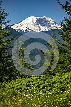 Mt. Rainier Washington State Park views of the peak through the