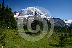 Mt Rainier_4606