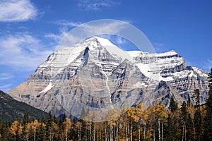 Mt. Robson