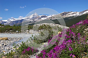 Mt. Robson Provincial Park A