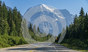 Mt Robson from the road