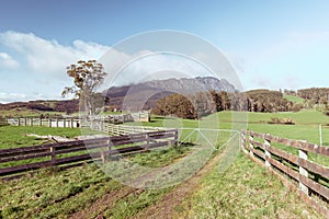 Mt Roland near Sheffield in Tasmania Australia