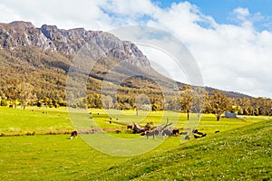 Mt Roland in Tasmania Australia