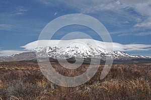 Mt Ruapehu from Desert road photo