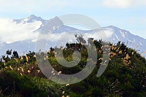 Mt Ruapehu photo