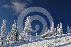 Mt. seymour ski resort with fresh snow