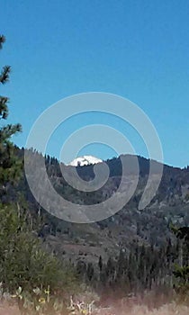 Mt. Shasta from afar