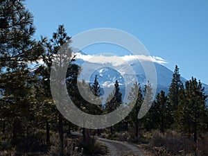 Mt. Shasta photo