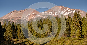 Mount Shasta Shastina Cascade Range California National Forest