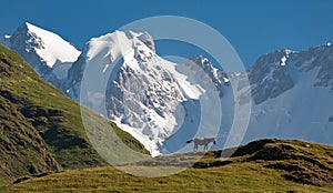 Mt Shkhara, Georgia Caucasus, from Ushguli