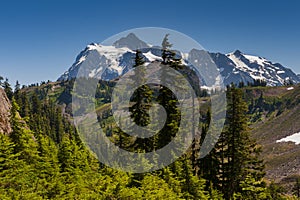 Mt. Shuksan, Washington