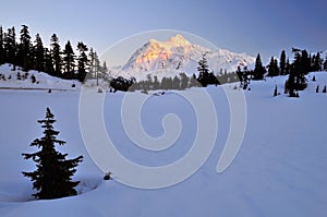 Mt shuksan at winter sunset