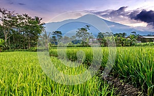 Mt. Slamet in central java, Indonesia,