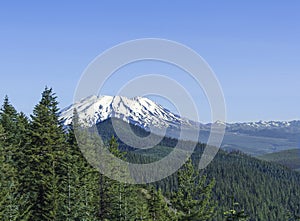 Mt. St. Helens