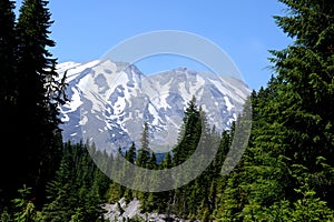 Mt St Helens as seen from the South Side