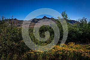 This is Mt. St. Helens National Park in Washington.