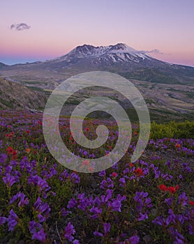 Mt St Helens at Sunset