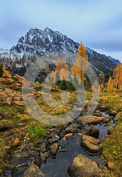 Mt. Stewart, Washington State