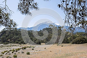 mt. Tahtali behind forest