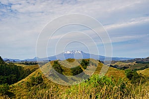 Mt. Tangariro - small Mt. Ngauruhoe in far - green landscape in front