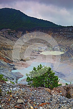 Mt Tangkuban Perahu Stratovolcano Crater West Java photo