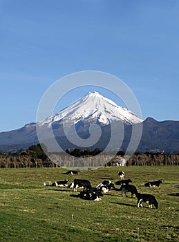 Mt Taranaki