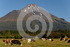 Mt. Taranaki Egmont National Park