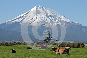 Mt Taranaki and Farm land