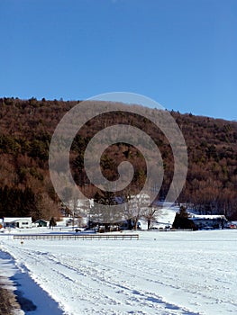 Mt. Tom Farm photo