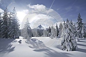 Mt Washington Snowfield
