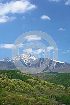 Mt. Yatsugatake of fresh green