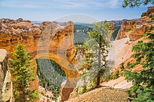 Mt. Zion National Park Utah