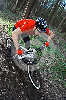 Mtb biking bicycle photo