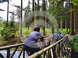 Mountain Bikers Cycling Across An Old Wooden Bridge In A Forest