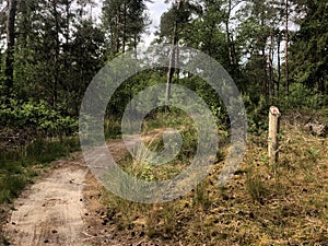 MTB route sign and forest around Ommen