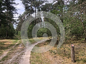 MTB route sign and forest around Ommen