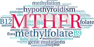 MTHFR Word Cloud