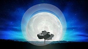 Beautiful full moon, solitude tree silhouette nature landscape photo