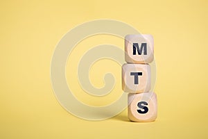 MTS, Make to Stock Support acronym