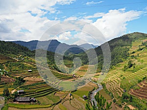 Mu Cang Chai - Terrace Rice Fields