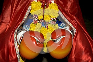 Muay Thai Boxer photo