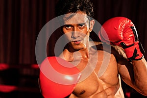 Muay Thai boxer punch his fist in front of camera posing. Impetus