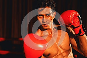 Muay Thai boxer punch his fist in front of camera posing. Impetus